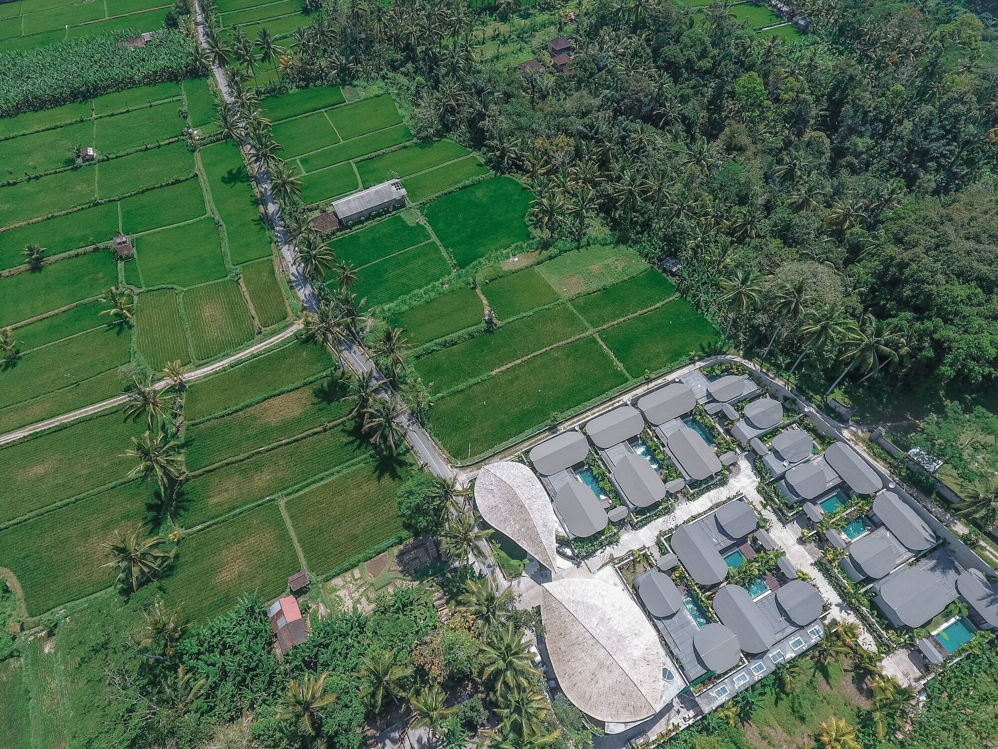 Daun Lebar Villas Payangan Exterior foto